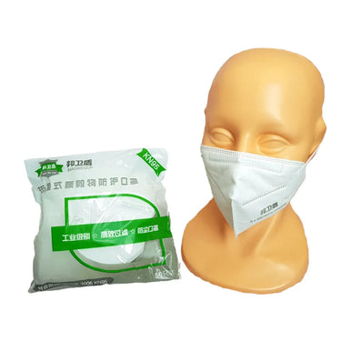 Bang Wei Dun KN95 PM2.5 Respirator Face Masks x10 from NSE Imports #1.